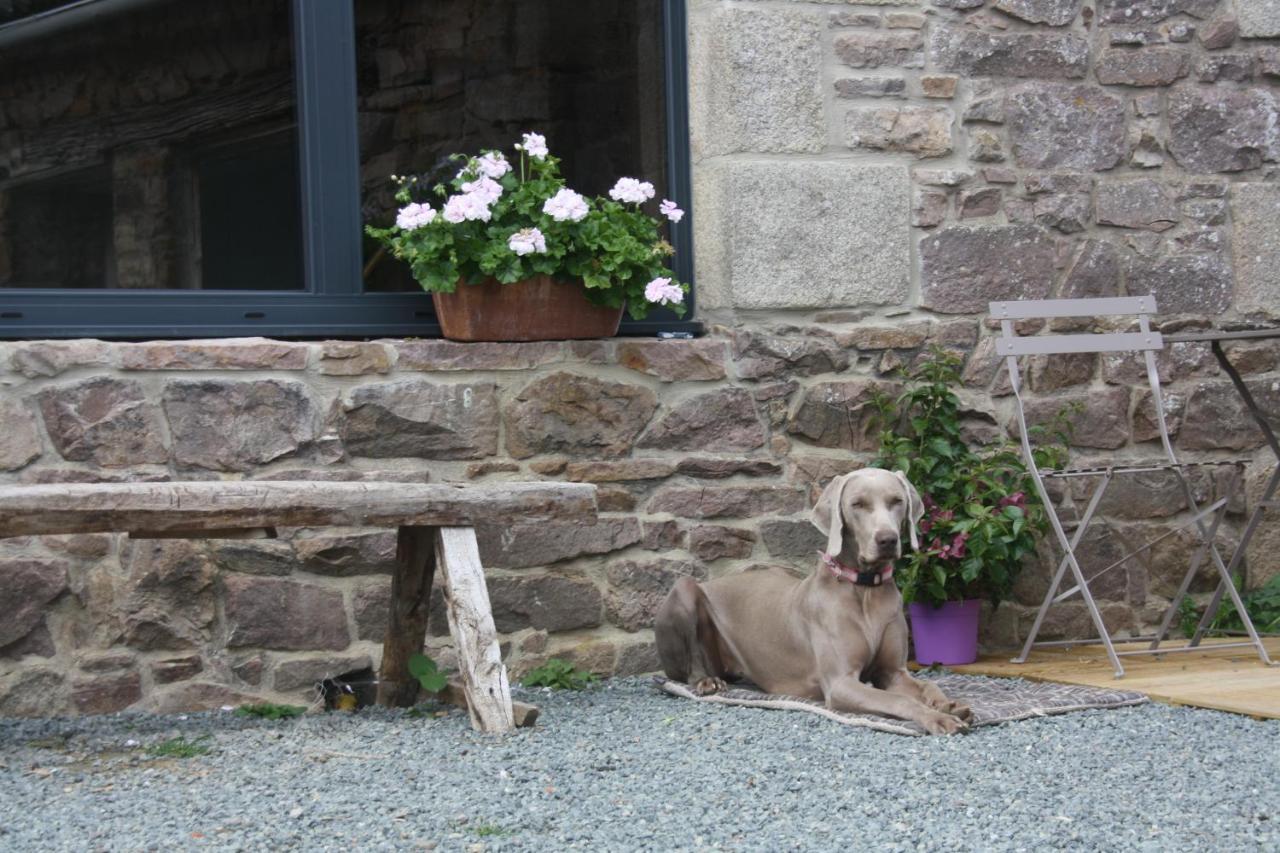 L'esperluete Bed & Breakfast Ploezal